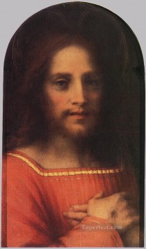 コルコバードのキリスト像 ルネサンスのマンネリズム アンドレア・デル・サルト Oil Paintings